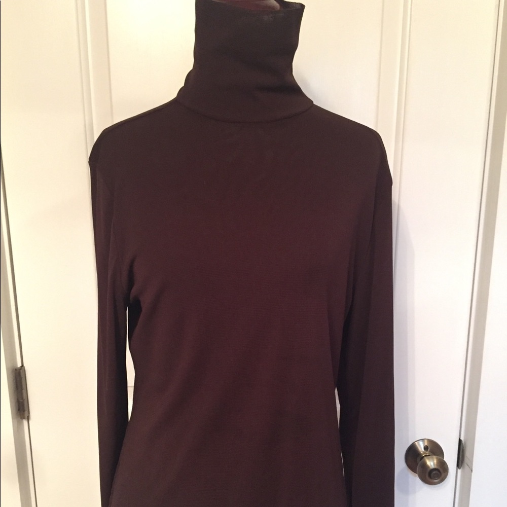 BABETTE SF TOP TURTLENECK DARK BROWN LONG SLEEVE RAW EDGE M fit